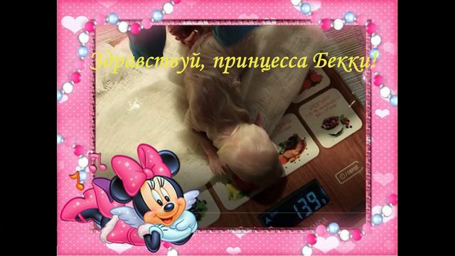 ШПИЦУЛЯ БЕККИ, здравствуй!!!