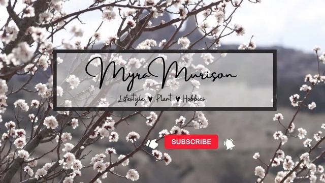 MARANTA LEUCONEURA KERCHOVEANA PLANT DIARY + Care Tips | Myra Murison смотреть онлайн