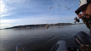 КАК ПОЙМАТЬ ЛЕЩА НА ТОРПЕДУ