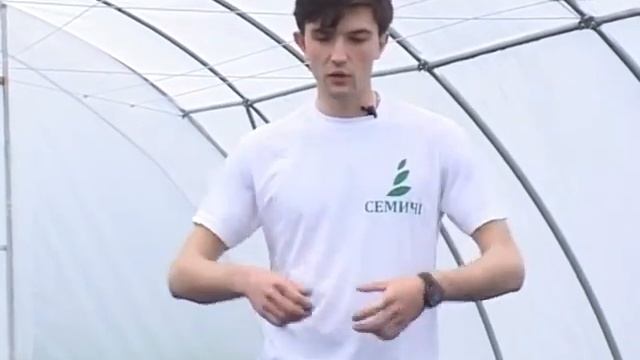 Нивка №25 Защита газона, высадка рассады в теплицу и защита смотреть онлайн