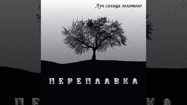 Веди меня смотреть онлайн