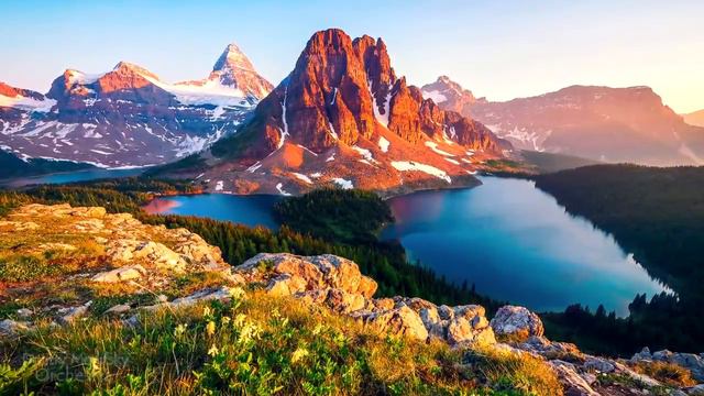 Красивая душевная мелодия! Dmitry Metlitsky "Nostalgia"/Beautiful Instrumental music