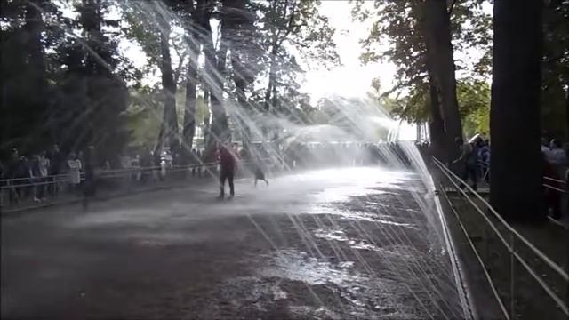 Фонтаны шутихи в Петергофе