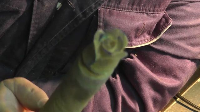 Как вырезать розу из дерева.Урок для начинающих. смотреть онлайн