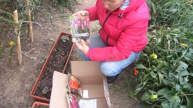 Смелый эксперимент с хурмой , а также анонс осенних мероприятий смотреть онлайн