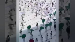 сура Аль-Баляд Город мишари рашид