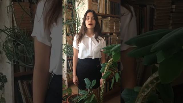 Страна читающих, Павлова София читает А.Блок «На железной дороге» смотреть онлайн