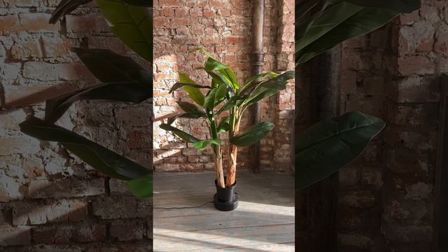 Edenplant.ru - Искусственное дерево Пальма банановая Бенкси 130см
