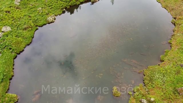 Мамай . Хамар- Дабан.
