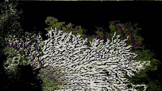 Ксюшенька, с 8 марта! смотреть онлайн