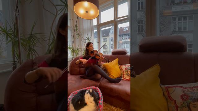 LA GATTA смотреть онлайн