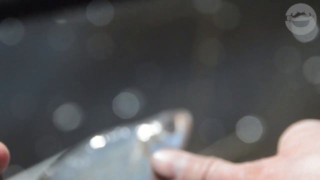 Открытие штекерного сезона 2021 смотреть онлайн