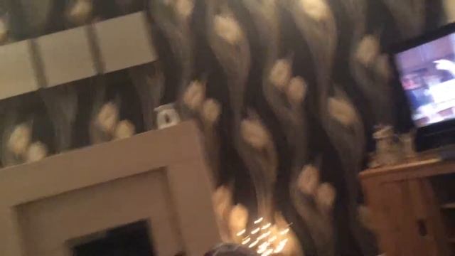 Bird poo cant fly baby poo