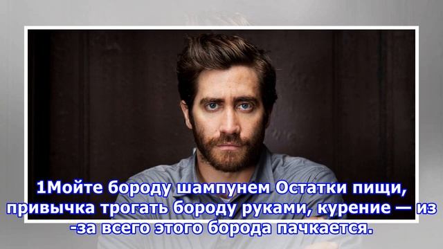 7 ответов на самые волнующие вопросы о бороде смотреть онлайн