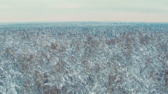 Зимняя красота, Национальный парк Лосиный остров с высоты смотреть онлайн