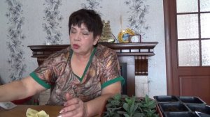 Вторая перевалка эустомы. Корень будет мощным.
