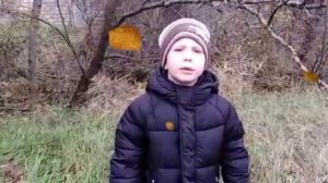 Видеорепортаж Всеволода Улыбышева "Жизнь животных осенью".