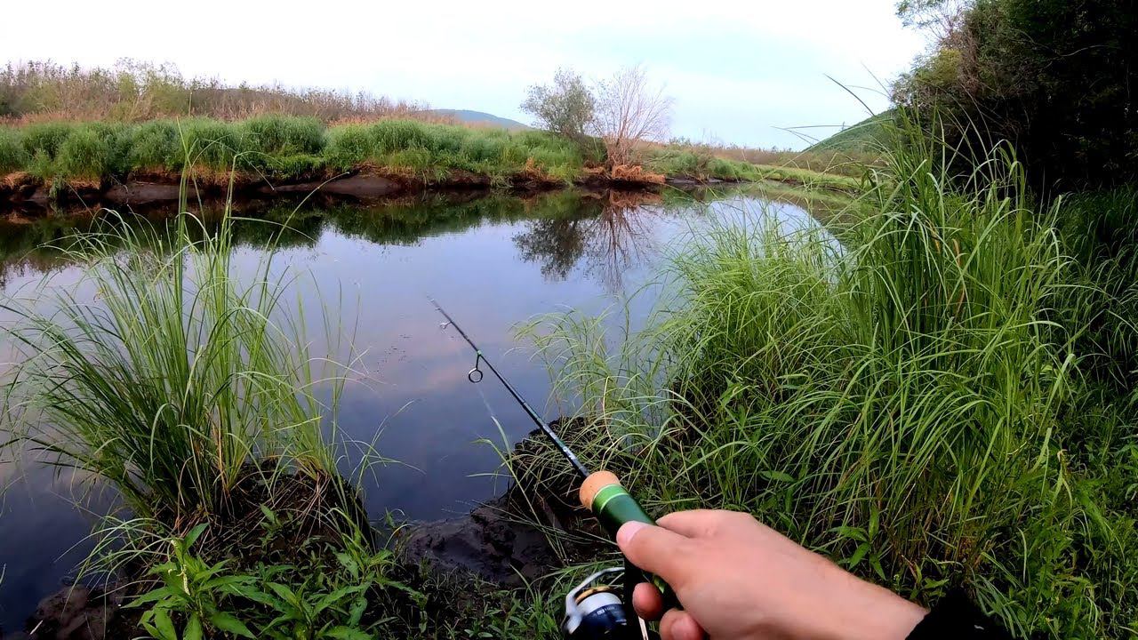 Щуку поймал, медведя повидал! Три часа клёвой рыбалки на спиннинг июльским утром на таёжной речке