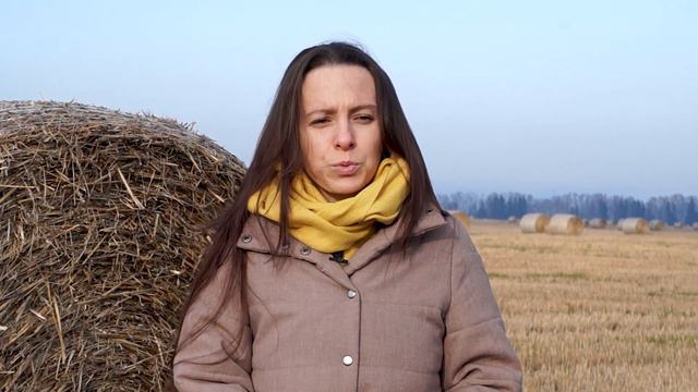 Кто нас оберегает и как с ними общаться смотреть онлайн