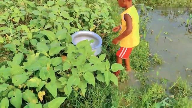 Удивительная рыбалка. Рыбалка руками юного мальчишки в пруду. Рыбалка 2021 смотреть онлайн