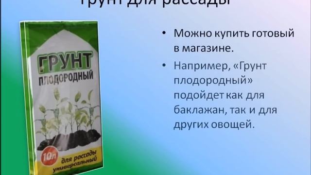 Как и когда сажать баклажаны? Видео Екатерины Хлебниковой смотреть онлайн