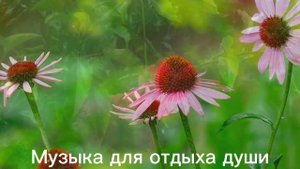 ,,КРУГОВОРОТ СУДЬБЫ,, Музыка Сергей Грищук | Музыка для отдыха души #музыка