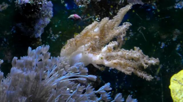 new samsung wb750 camera смотреть онлайн