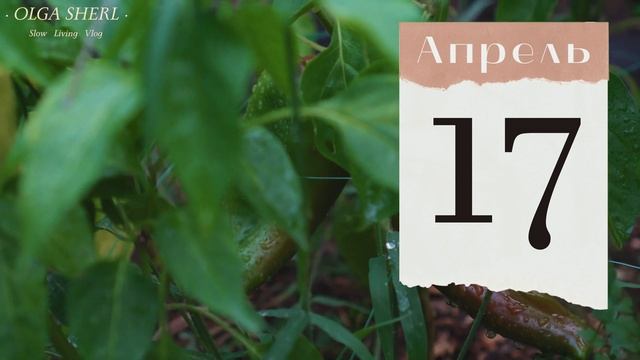 ПЕРЕЦ: Лунный Посевной Календарь на АПРЕЛЬ 2023 год! Когда сеять / сажать семена перцев на рассаду?