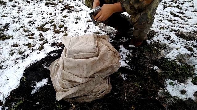 Как подготовить кедры и другие хвойные деревья к первой зиме.Полезный видео урок.