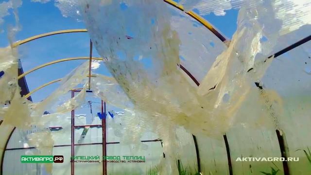 Обзор теплицы "Ударница Благодатная" ширина 2.5 м. смотреть онлайн