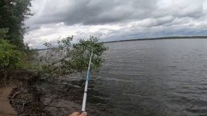 СЕЛЁДКА . Самая простая и уловистая снасть. Волга . Лето 2021г.