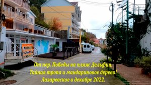 От пер.Победы на пляж Дельфин! Тайная тропа и мандариновое дерево! ?ЛАЗАРЕВСКОЕ СЕГОДНЯ?СОЧИ.