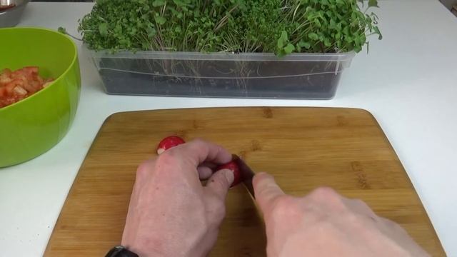 ЛЕТНИЙ САЛАТ С МИКРОЗЕЛЕНЬЮ