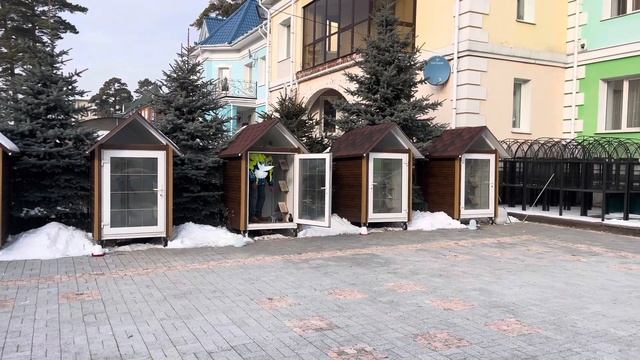 Голуби. Особенности гона, кормления в осенне-зимний период. смотреть онлайн