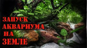 Перезапуск аквариума на ЗЕМЛЕ