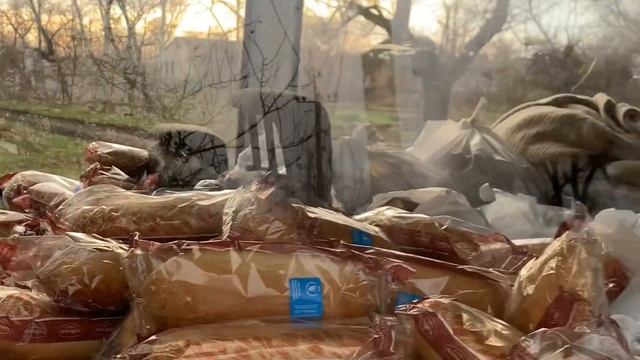 11 ноября 2023 г. смотреть онлайн