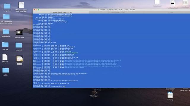 Import the CA certificate to the CA certificate store in linux OS смотреть онлайн