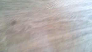 3 часть растения против зомби игрушки (финал )