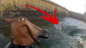Страшные видео, которые заставят вас уронить телефон