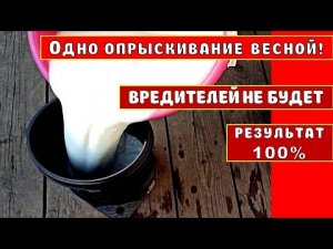 ВРЕДИТЕЛЕЙ НЕ БУДЕТ НА ДЕВЕВЬЯХ И КУСТАРНИКАХ!ОДНО ОПРЫСКИВАНИЕ ВЕСНОЙ! ОБРАБОТКА САДА ОТ НАСЕКОМЫХ