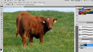 Spostare un oggetto con Photoshop CS5