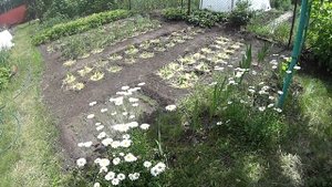 Урра! Это случилось! Обогреватель для бассейна СВОИМИ РУКАМИ и многое другое