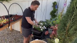 Planting Proven Winners Supertunia Vista Silverberry! 🌸🌿 || visit our garden @ProvenWinnersYouTube