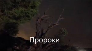 Сура Аль Анбийа Пророки Смысловой перевод