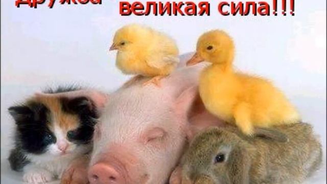 Открытый урок смотреть онлайн