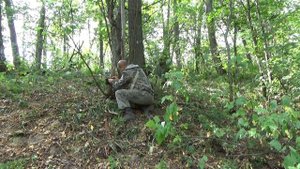 Медведь задрал лося и попал в кадр фотоловушки.