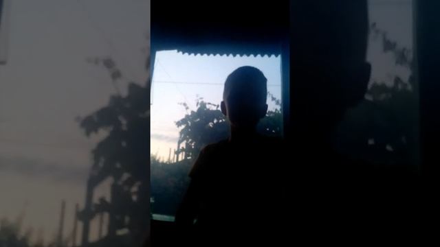 Кто такой жук олень? смотреть онлайн