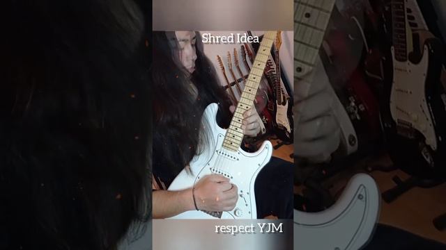 Shred Guitar Idea!!! Respect YJM with Fender Stratocaster