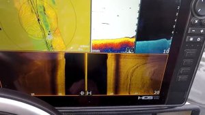 Как ловить щуку на джерки? Помощь начинающим.