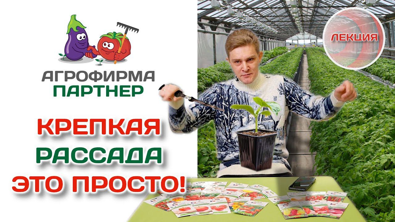 Как избежать ошибок при выращивании рассады | Крепкая рассада – это просто! #огород #рассада #семена